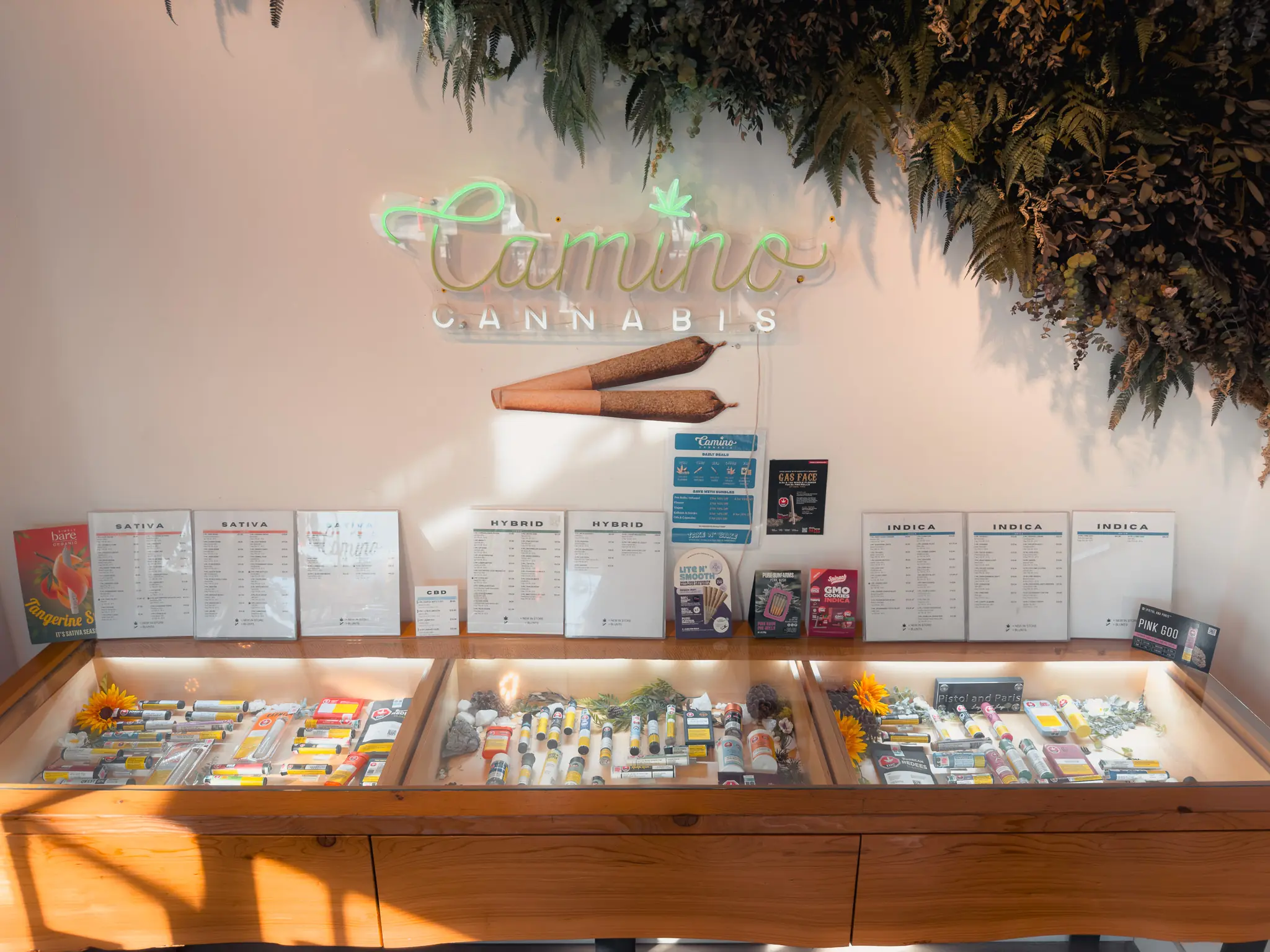 Camino Cannabis Neon 2 Oct 2026