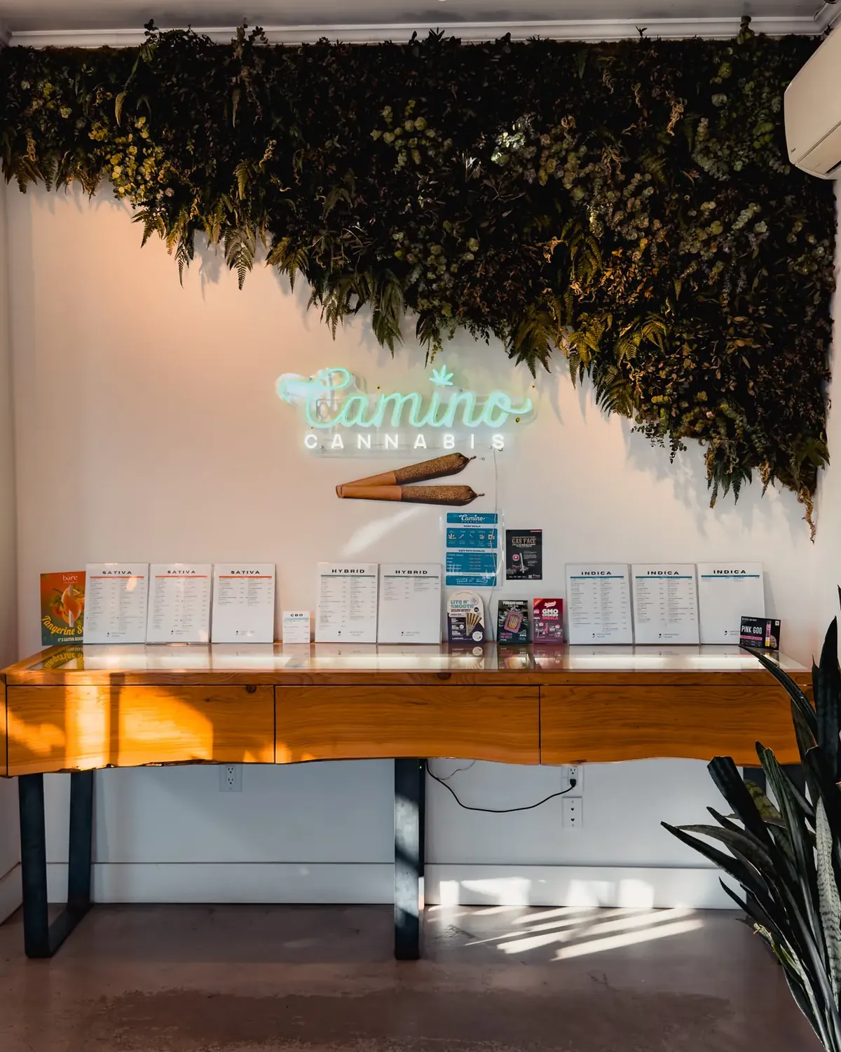 Menu counter at Camino Cannabis on Fraser Street, with printed sativa, hybrid and indica menus under the living wall and neon Camino sign